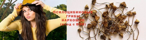 2c-b Алзамай