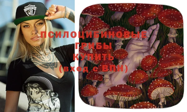 mix Кодинск