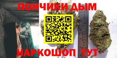 apvp Гусиноозёрск