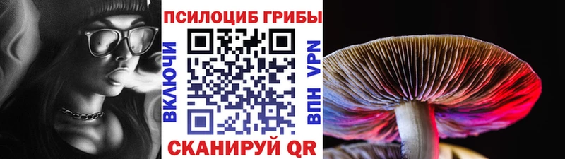 Галлюциногенные грибы мухоморы Шебекино