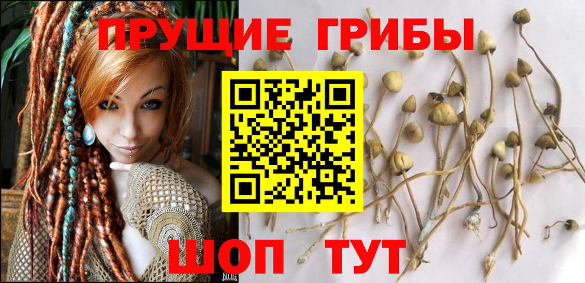 наркота  Галлюциногенные грибы Magic Shrooms  Галлюциногенные грибы Psilocybine cubensis  Вход с VPN  Шебекино 